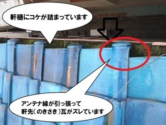 軒先瓦ズレ、軒樋にコケ