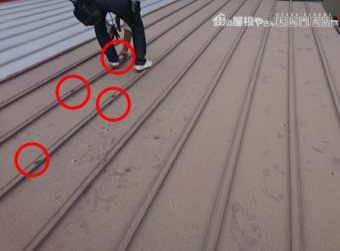 門真市 台風被害の応急処置2