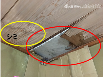 天井落ちている