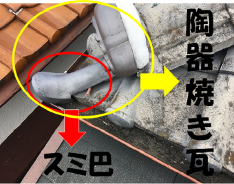 隅巴瓦部