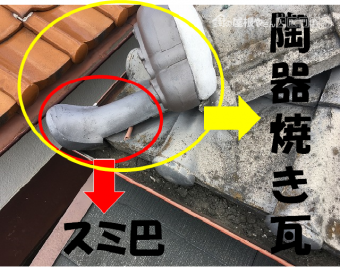 隅巴瓦部