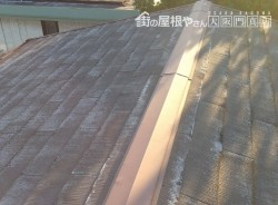 カバー工事を行う前のカラーベストの状態