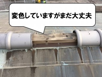 変色しているが大丈夫