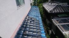 下屋根部分は、上から何か落ちてきたのか割れが多数見られます。