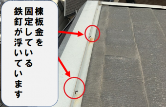 守口市 棟板金を固定している釘の浮き