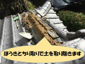土を取り除く