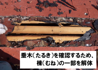 垂木を確認するため一部棟解体