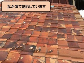 瓦が凍て割れしています