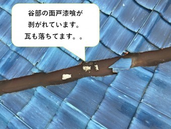 瓦が割れて落ちています