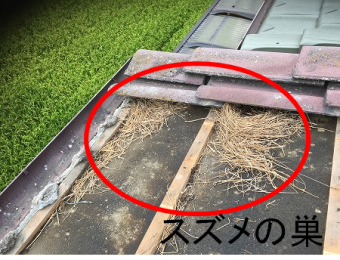 瓦解体中、雀の巣を発見