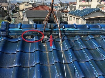 棟現状