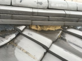 棟漆喰現状