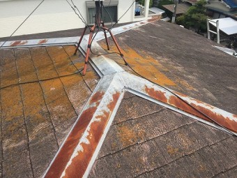 棟際には苔が生えてしまってます。