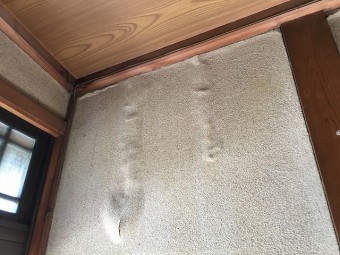 玄関雨漏り