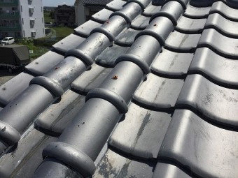 刀根丸の側面にも漆喰を塗っていきます。
