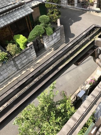 樋の掃除
