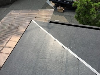 棟養生