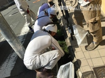 溝もきれいに掃除