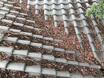 谷部には枯葉が積もり埋まってしまっています。