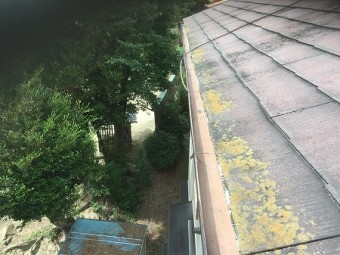 樋清掃後