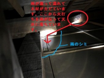 天井裏で雨漏りを確認