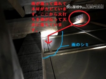天井裏で雨漏りを確認