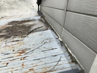 壁際の板が朽ちてコーキングが切れています。