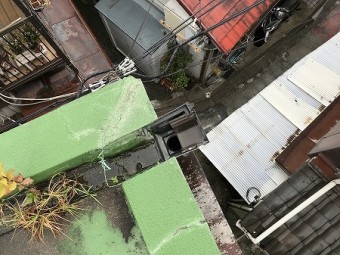排水口付近には草木が
