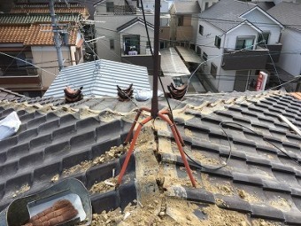 棟なし写真