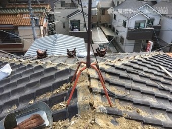 棟なし写真