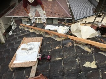 強力棟たる木