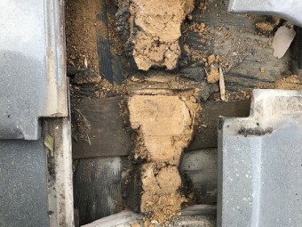 瓦を外すと土のズレ留めの木に濡れた跡があります。