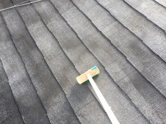 コケだらけだったので磨きました