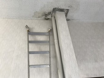 竪樋が室内を貫通しております。