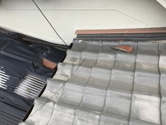 壁際のノシ瓦が外れて転がっています。