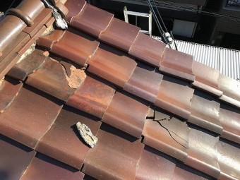 瓦が完全に放射状に割れています。