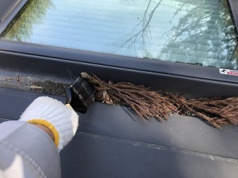 刷毛で、天窓の枯葉を掃除していきます。