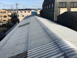 屋根は一見キレイなんですが、、