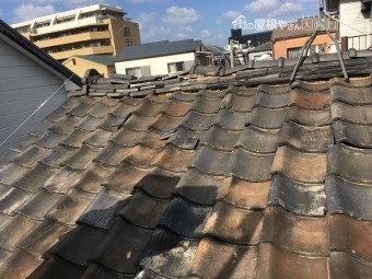 守口市 屋根調査