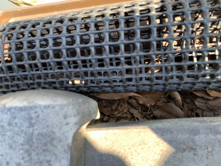 枯葉が集水器に溜まっています。