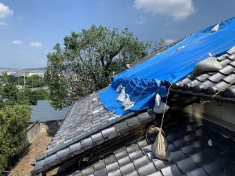大屋根は全体的にシートが掛けられています。