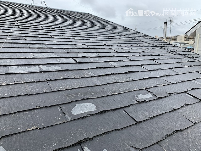 パミール本体が表層剥離を起こしています。