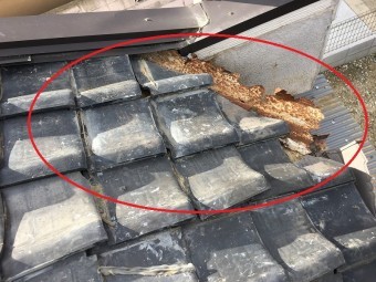鈑金腐食