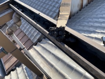 波板張替工事 清掃作業