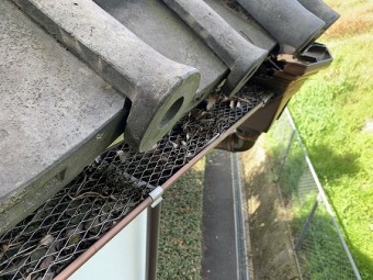 樋の落ち葉除けにラス用の金網が取り付けられてます。