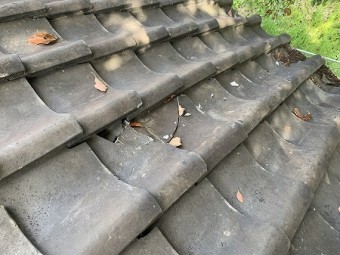 木の枝が折れて、瓦を直撃して割れたようです。