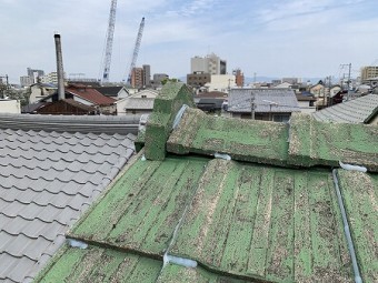 鬼瓦にもコーキングがされています。