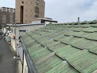 ズレもありますね。