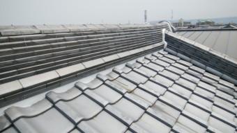 2020824_200825_22-columns2