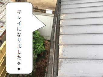 守口市 軒樋の落ち葉掃除完了